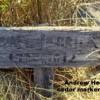 Herrick,+Andrew+MarkerVining1 Herrick,+Andrew+MarkerVining1