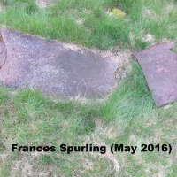 IMG_3285_Row3DHeadstoneWithFrag IMG_3285_Row3DHeadstoneWithFrag