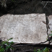 IMG_7392_RobertSpurling