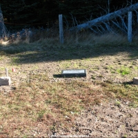 Left008JohnsonAndUnmarked