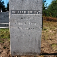 Left081Gilley