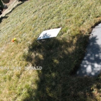 Right003or004_Donald+copy