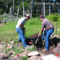 RobertSpurling5_Base