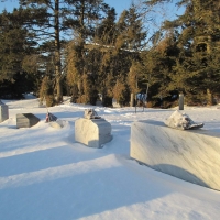 ShellsSnowFeb28DumaLo